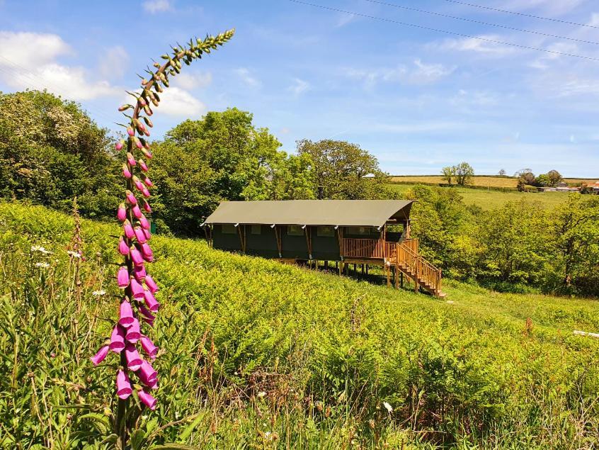Brackenhill Glamping - Safari Tent With Hot Tub - Sleeps 6 Ivybridge Zewnętrze zdjęcie